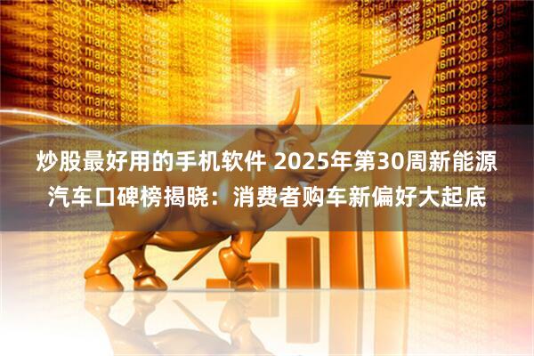 炒股最好用的手机软件 2025年第30周新能源汽车口碑榜揭晓：消费者购车新偏好大起底