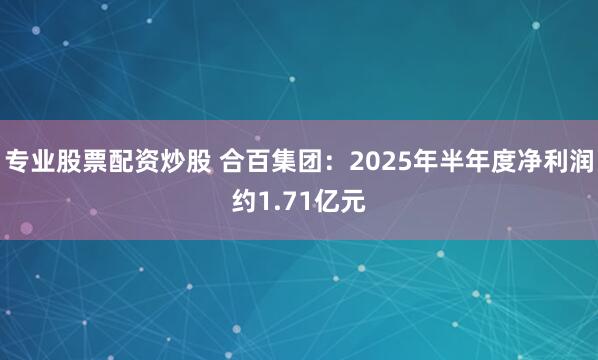 专业股票配资炒股 合百集团：2025年半年度净利润约1.71亿元