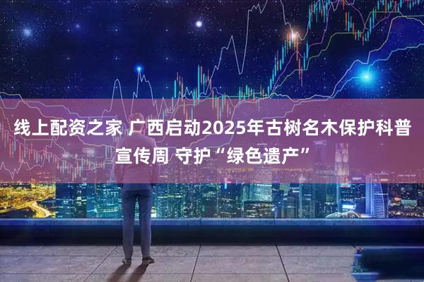 线上配资之家 广西启动2025年古树名木保护科普宣传周 守护“绿色遗产”